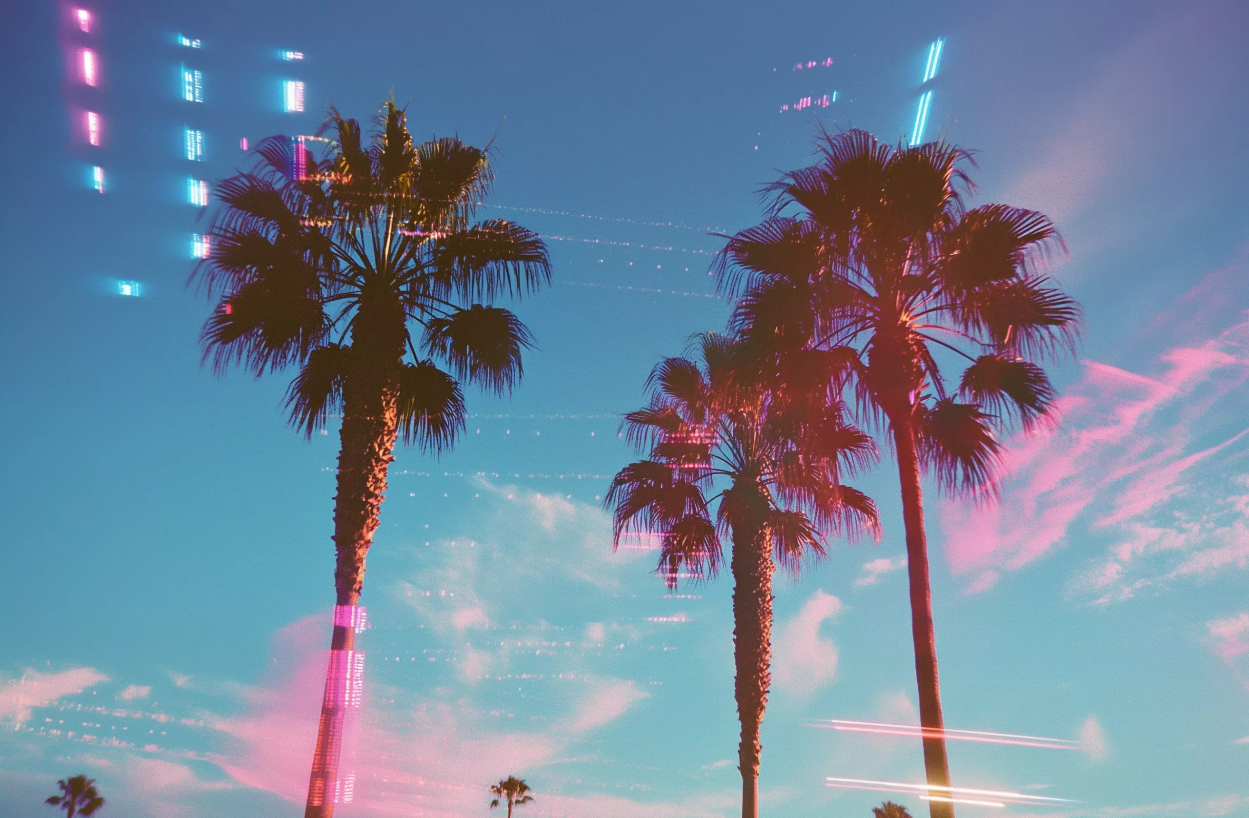 Neon palm trees with a clear sky